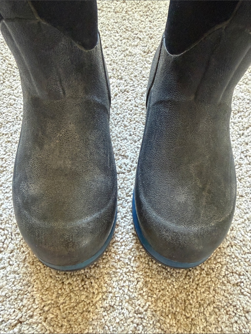 Muck Boot Kids Element Black Waterproof Pull-On Boots Blue Trim - Picture 9 of 10